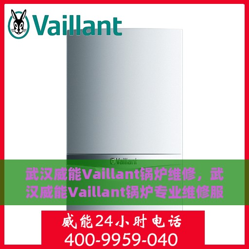 武汉威能Vaillant锅炉维修，武汉威能Vaillant锅炉专业维修服务