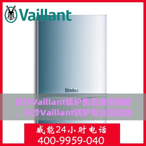 长沙Vaillant锅炉售后维修客服，长沙Vaillant锅炉专业售后维修客服团队，专注服务，温暖您的生活