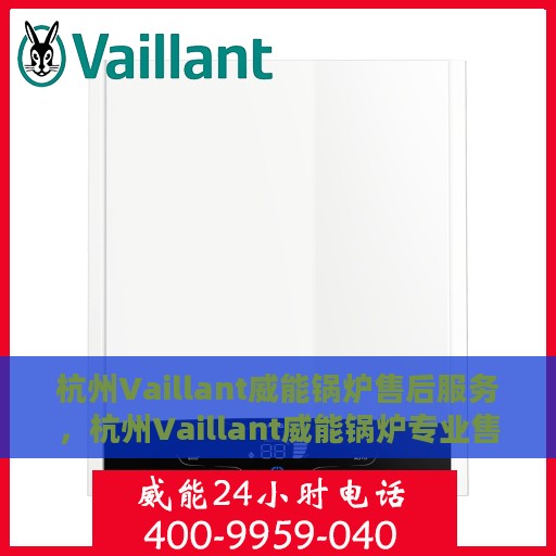 杭州Vaillant威能锅炉售后服务，杭州Vaillant威能锅炉专业售后服务团队，全方位技术支持，贴心服务保障