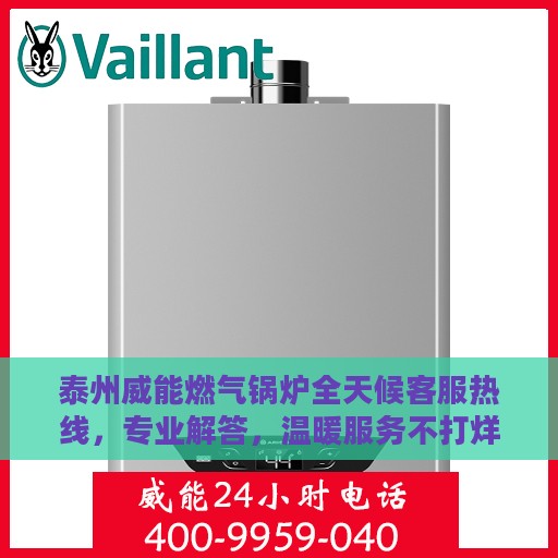 泰州威能燃气锅炉全天候客服热线，专业解答，温暖服务不打烊