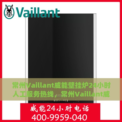 常州Vaillant威能壁挂炉24小时人工服务热线，常州Vaillant威能壁挂炉全天候人工服务热线解析
