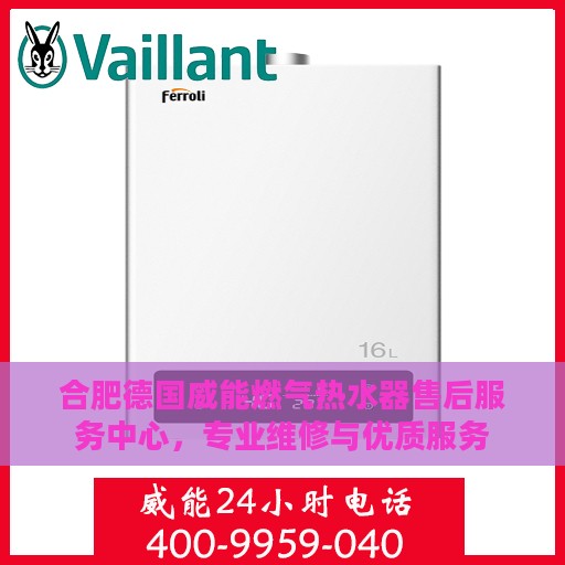 合肥德国威能燃气热水器售后服务中心，专业维修与优质服务