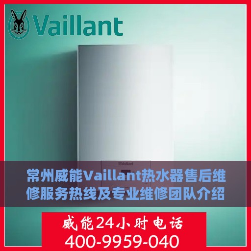 常州威能Vaillant热水器售后维修服务热线及专业维修团队介绍