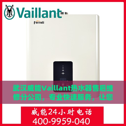 武汉威能Vaillant热水器售后维修分公司，专业快速服务，让您无忧享受温暖生活