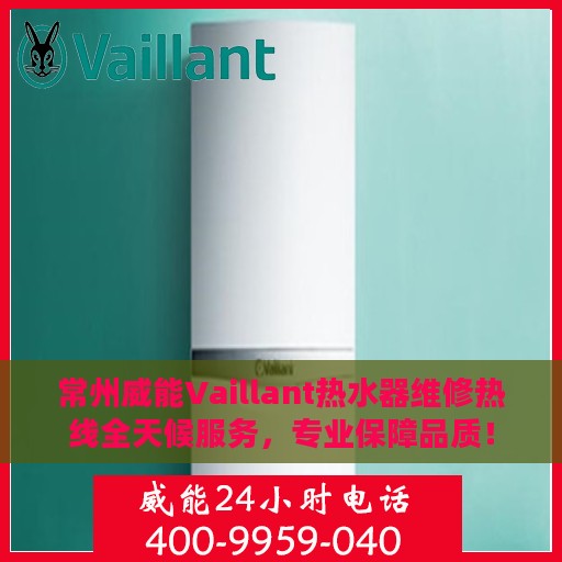 常州威能Vaillant热水器维修热线全天候服务，专业保障品质！