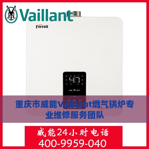 重庆市威能Vaillant燃气锅炉专业维修服务团队