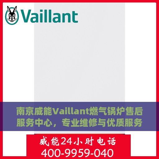 南京威能Vaillant燃气锅炉售后服务中心，专业维修与优质服务并重