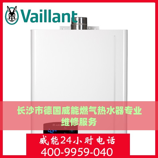 长沙市德国威能燃气热水器专业维修服务