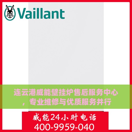 连云港威能壁挂炉售后服务中心，专业维修与优质服务并行