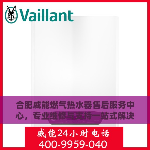 合肥威能燃气热水器售后服务中心，专业维修与支持一站式解决方案