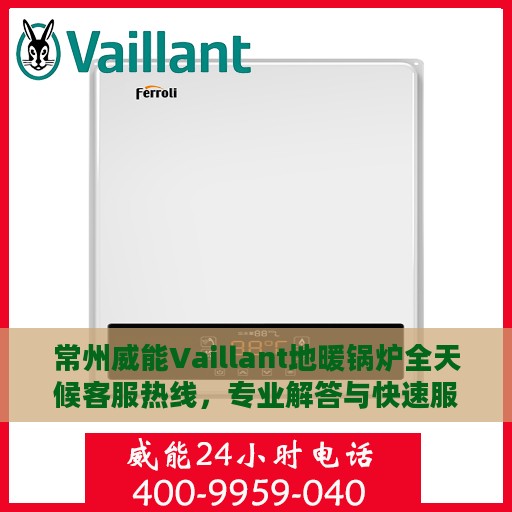 常州威能Vaillant地暖锅炉全天候客服热线，专业解答与快速服务保障