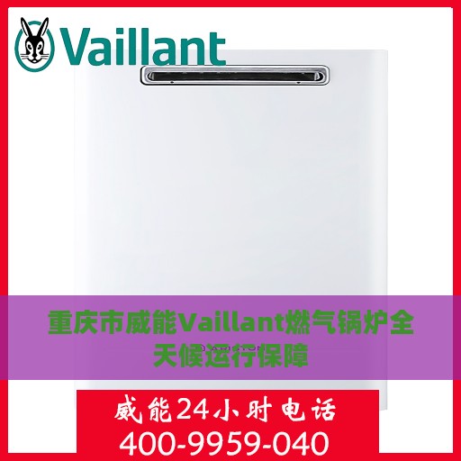 重庆市威能Vaillant燃气锅炉全天候运行保障