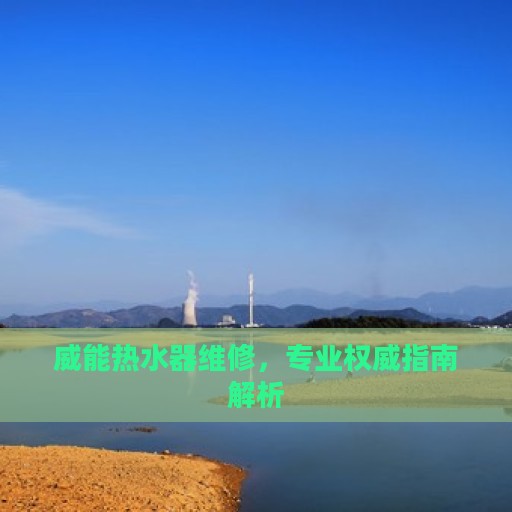 威能热水器维修，专业权威指南解析