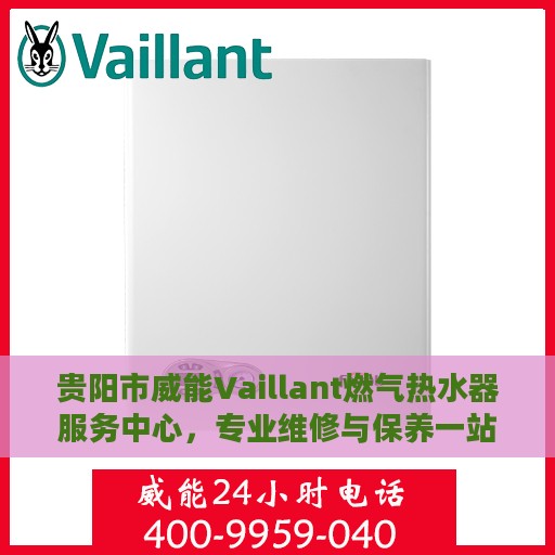 贵阳市威能Vaillant燃气热水器服务中心，专业维修与保养一站式服务