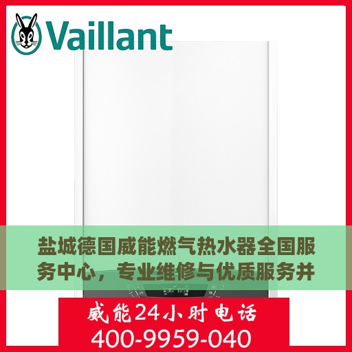 盐城德国威能燃气热水器全国服务中心，专业维修与优质服务并行
