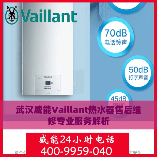 武汉威能Vaillant热水器售后维修专业服务解析