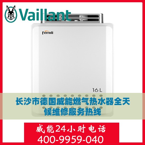 长沙市德国威能燃气热水器全天候维修服务热线