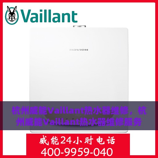 杭州威能Vaillant热水器维修，杭州威能Vaillant热水器维修服务详解