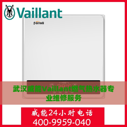武汉威能Vaillant燃气热水器专业维修服务