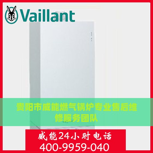 贵阳市威能燃气锅炉专业售后维修服务团队