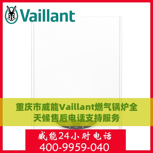 重庆市威能Vaillant燃气锅炉全天候售后电话支持服务