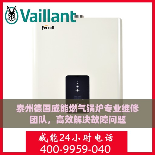泰州德国威能燃气锅炉专业维修团队，高效解决故障问题