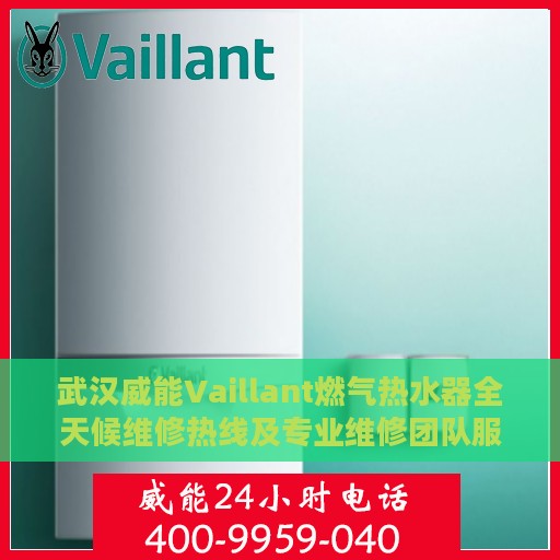 武汉威能Vaillant燃气热水器全天候维修热线及专业维修团队服务介绍
