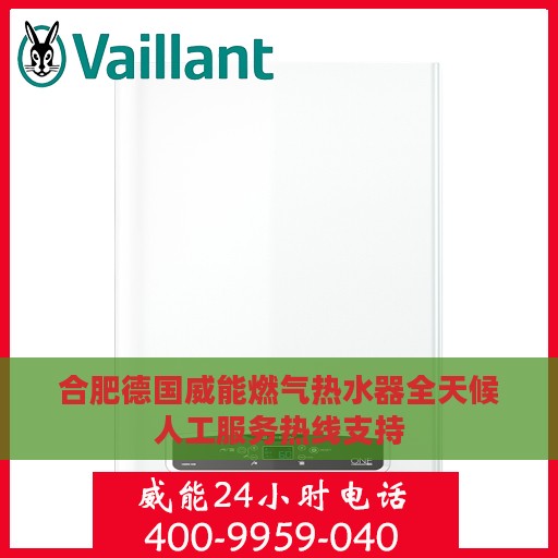 合肥德国威能燃气热水器全天候人工服务热线支持