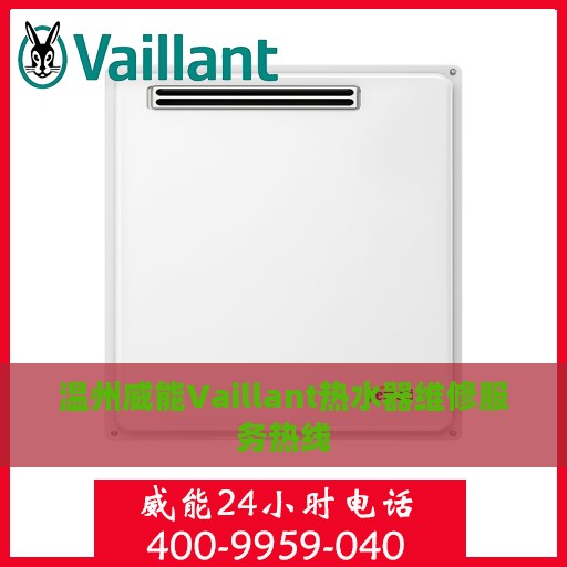 温州威能Vaillant热水器维修服务热线
