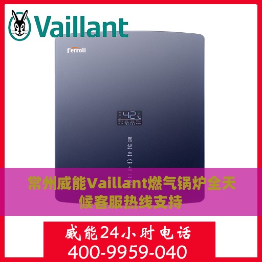 常州威能Vaillant燃气锅炉全天候客服热线支持