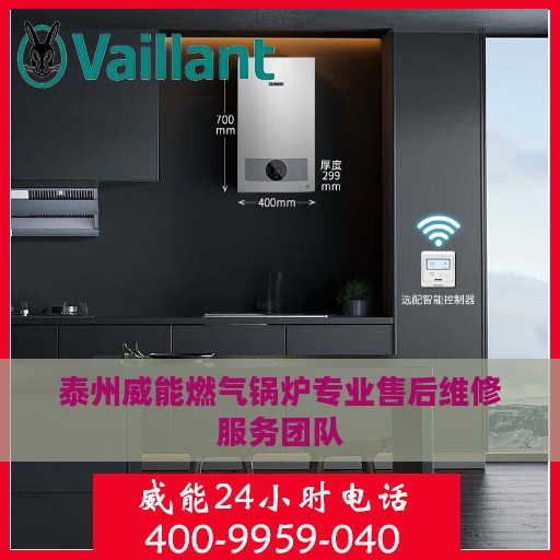 泰州威能燃气锅炉专业售后维修服务团队
