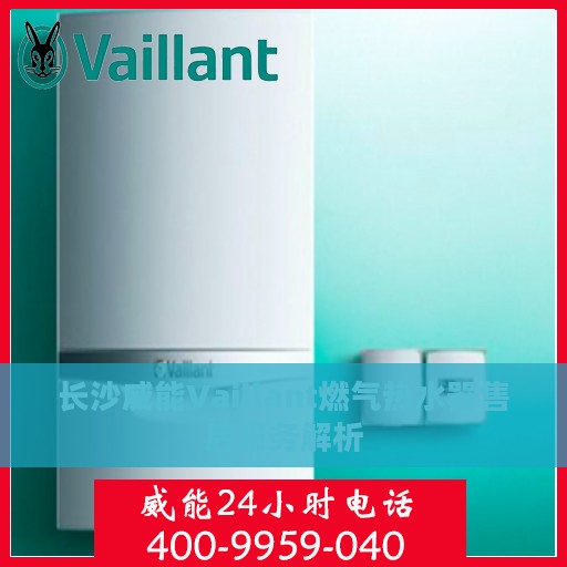 长沙威能Vaillant燃气热水器售后服务解析