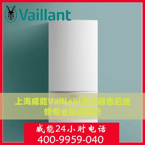 上海威能Vaillant热水器售后维修专业服务解析