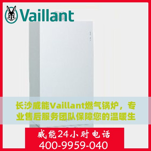 长沙威能Vaillant燃气锅炉，专业售后服务团队保障您的温暖生活