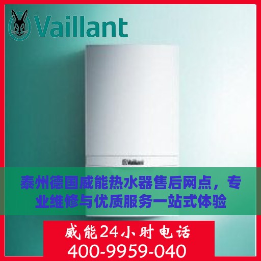 泰州德国威能热水器售后网点，专业维修与优质服务一站式体验