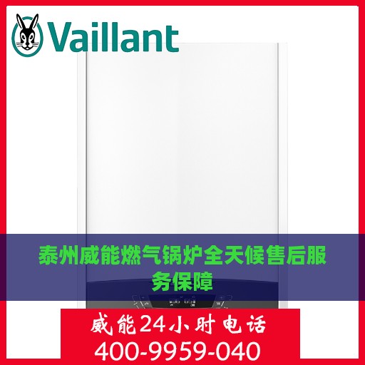 泰州威能燃气锅炉全天候售后服务保障
