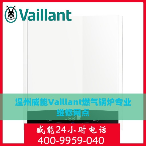 温州威能Vaillant燃气锅炉专业维修网点