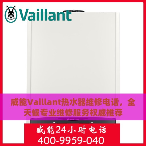 威能Vaillant热水器维修电话，全天候专业维修服务权威推荐
