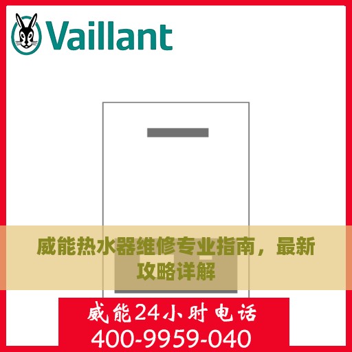 威能热水器维修专业指南，最新攻略详解