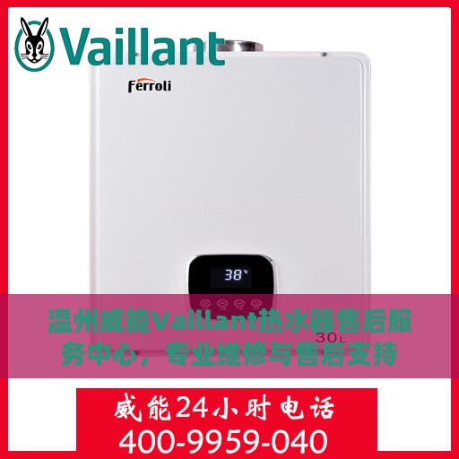 温州威能Vaillant热水器售后服务中心，专业维修与售后支持