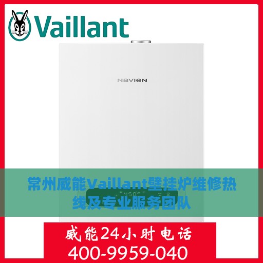 常州威能Vaillant壁挂炉维修热线及专业服务团队