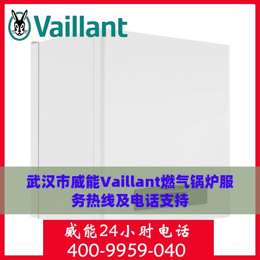 武汉市威能Vaillant燃气锅炉服务热线及电话支持