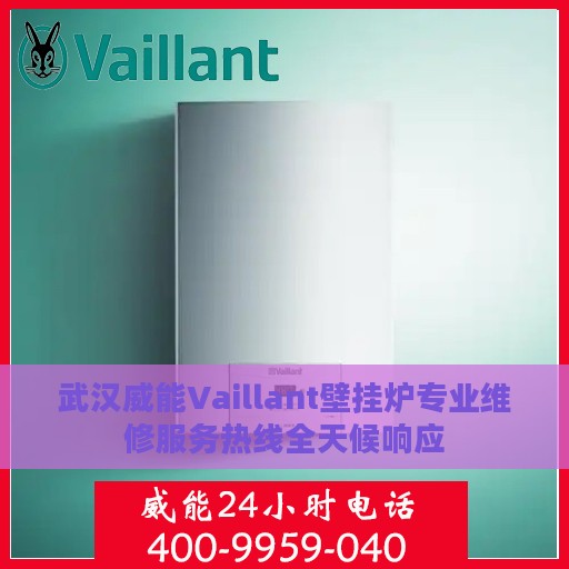 武汉威能Vaillant壁挂炉专业维修服务热线全天候响应
