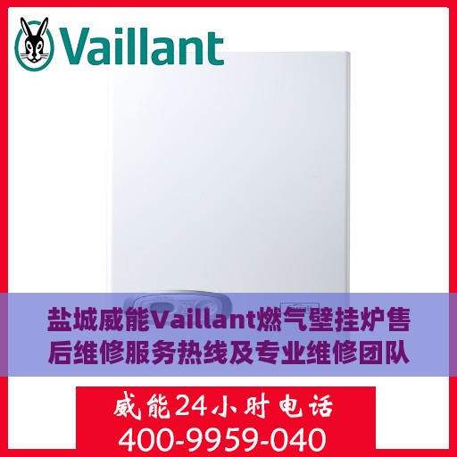 盐城威能Vaillant燃气壁挂炉售后维修服务热线及专业维修团队