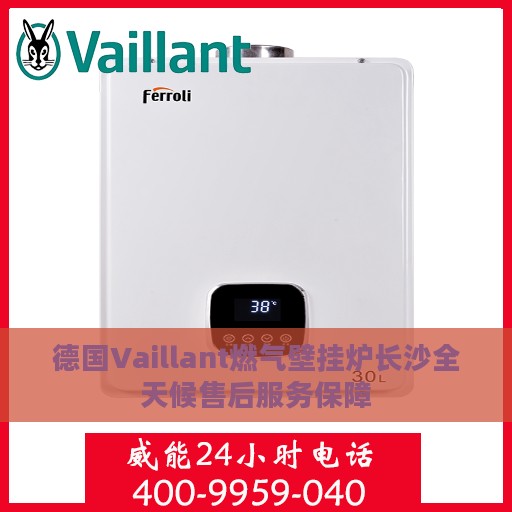 德国Vaillant燃气壁挂炉长沙全天候售后服务保障