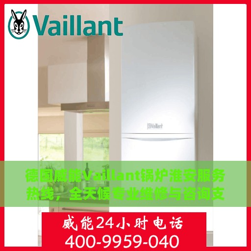 德国威能Vaillant锅炉淮安服务热线，全天候专业维修与咨询支持