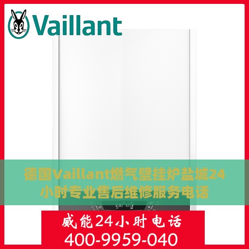 德国Vaillant燃气壁挂炉盐城24小时专业售后维修服务电话