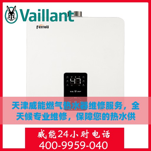 天津威能燃气热水器维修服务，全天候专业维修，保障您的热水供应安全