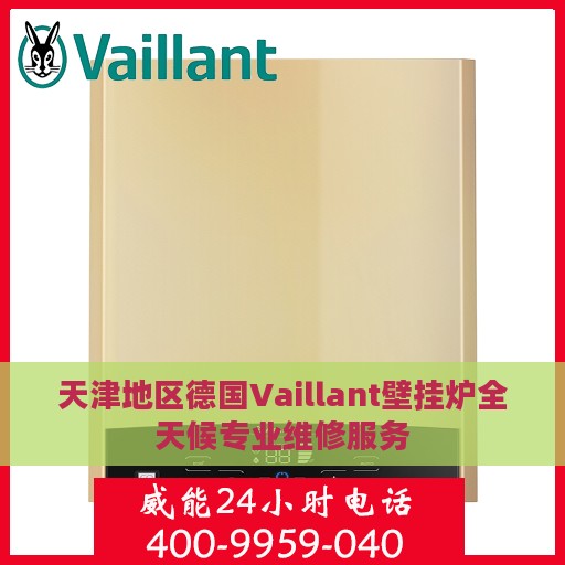 天津地区德国Vaillant壁挂炉全天候专业维修服务