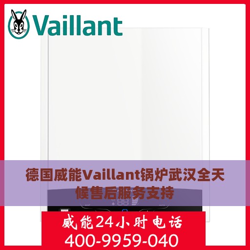 德国威能Vaillant锅炉武汉全天候售后服务支持